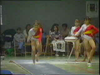 94EspRumAnaPV3.bmp (230454 bytes)