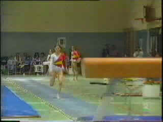 94EspRumAnaPV5.bmp (230454 bytes)