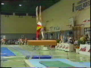 94EspRumAnaPV6.bmp (230454 bytes)