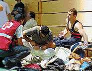 CE2001lesion.jpg (7484 bytes)